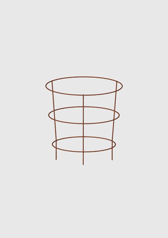 Augu balsti Hoop L+ (10 gab) Patina